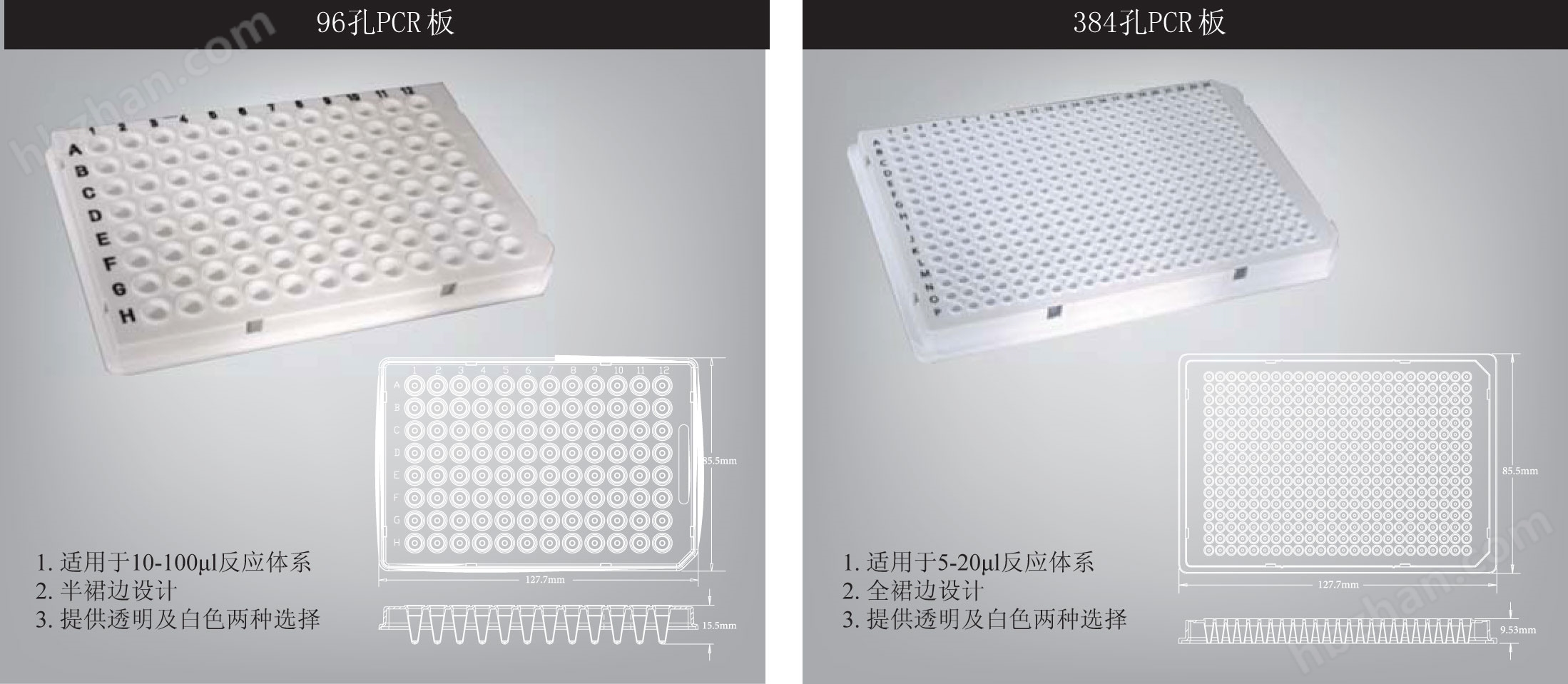 Axygen 适配罗氏LightCycler480的PCR板